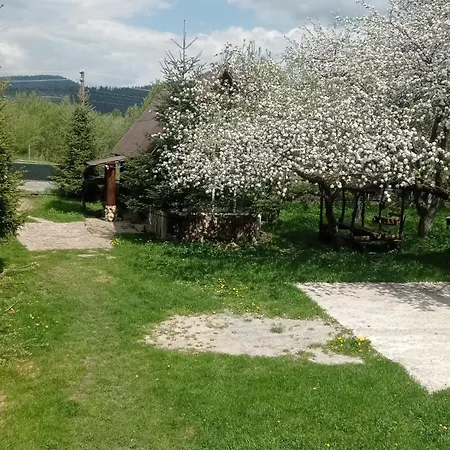 колорит Guest house