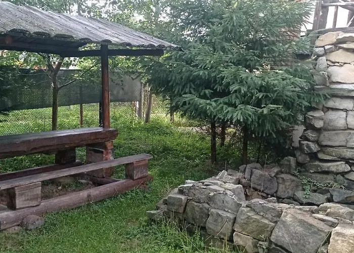 колорит 招待所 3*