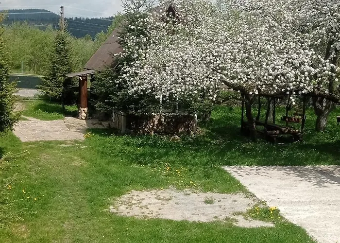 колорит 招待所